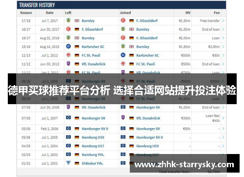 德甲买球推荐平台分析 选择合适网站提升投注体验