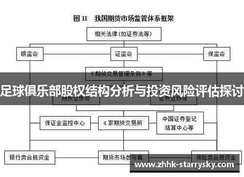 足球俱乐部股权结构分析与投资风险评估探讨