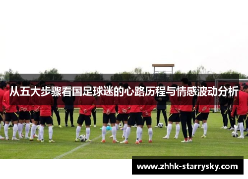 从五大步骤看国足球迷的心路历程与情感波动分析