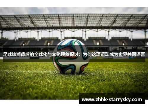 足球热潮背后的全球化与文化现象探讨：为何这项运动成为世界共同语言